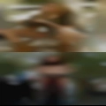Fucking swingers Idaho phone